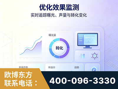 西安-优化效果监测