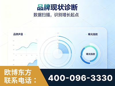 西安-品牌现状诊断